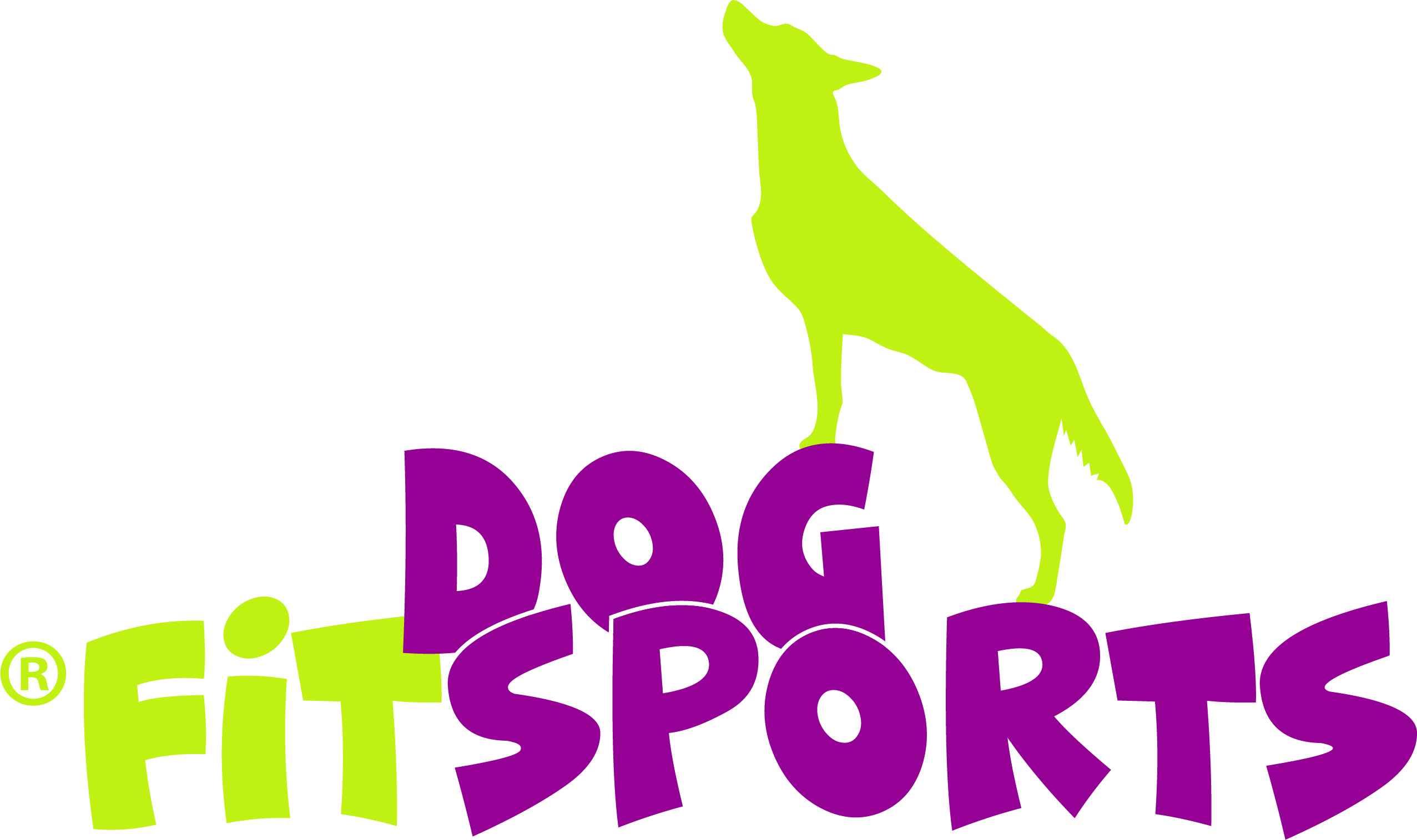 Dogfitsports