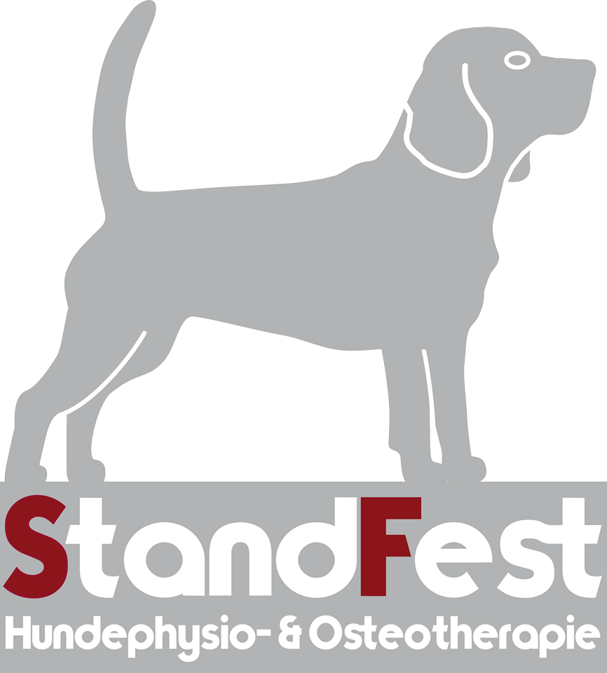 Logo Standfest_Osteo_transparent