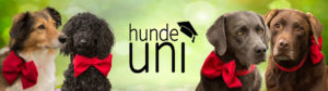 Hunde-Uni-300×84